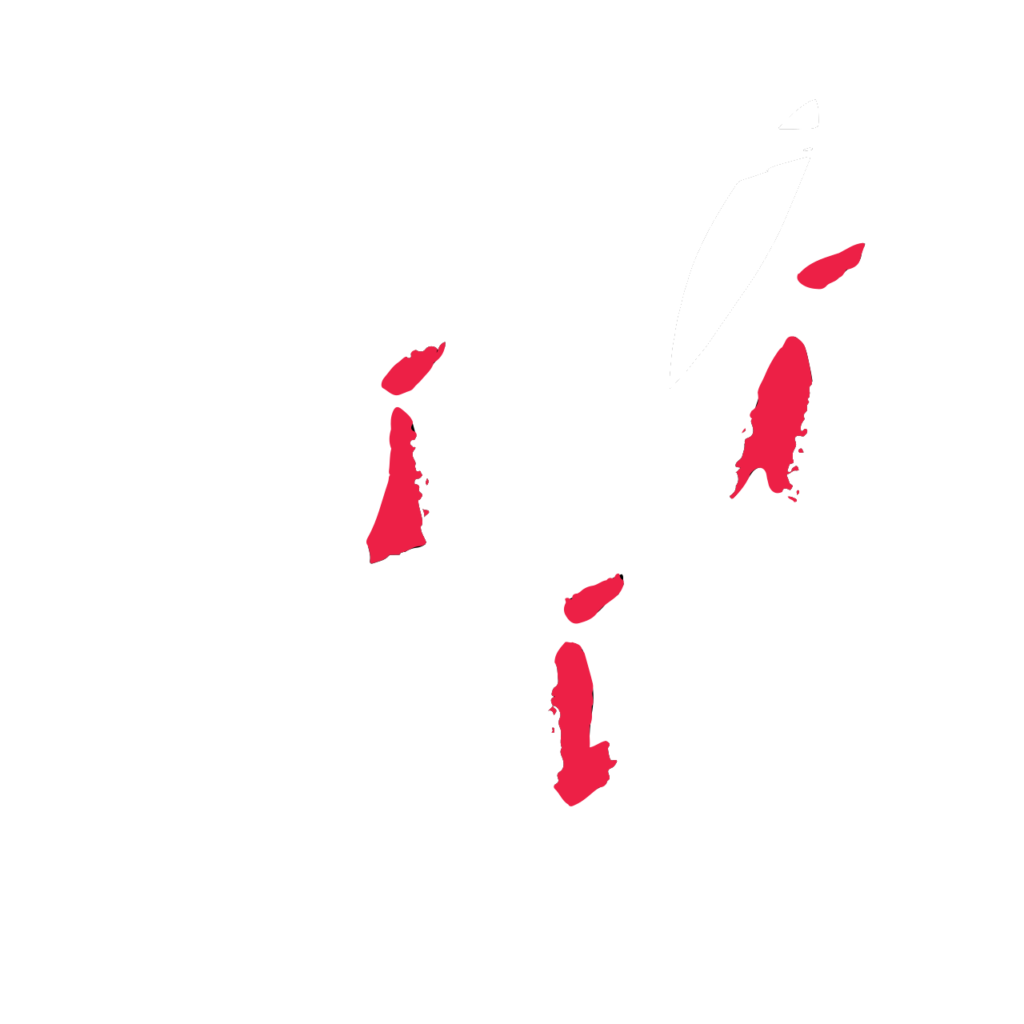 Logo blanc de Jiulia Via avec un style artistique